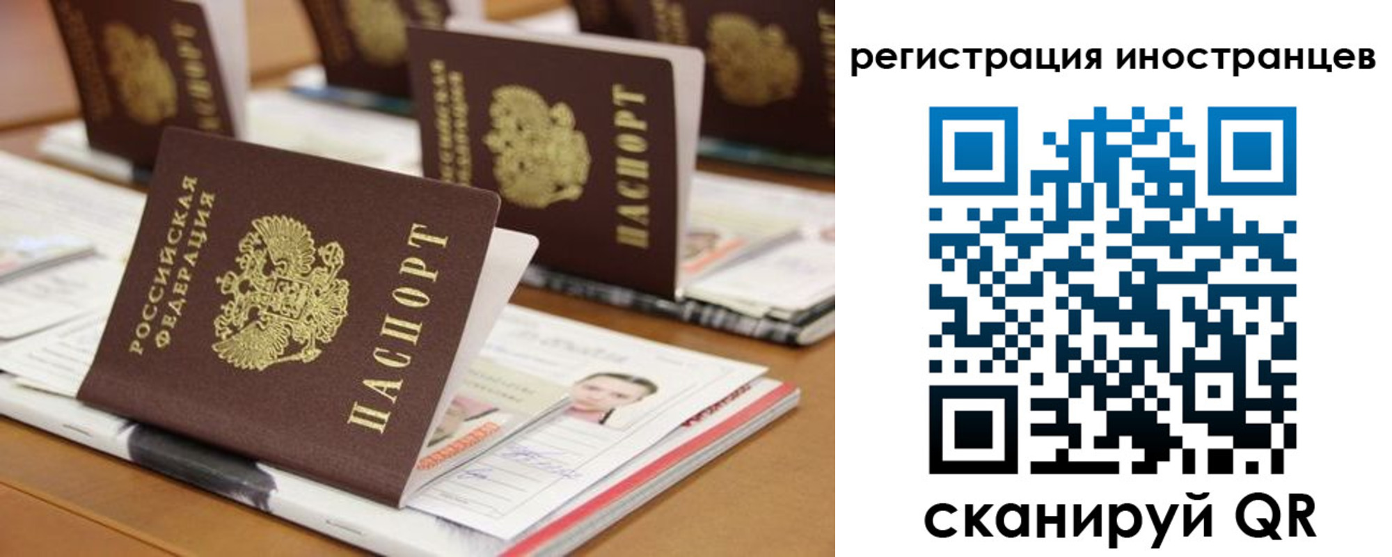 пропишу в квартире в Брянске