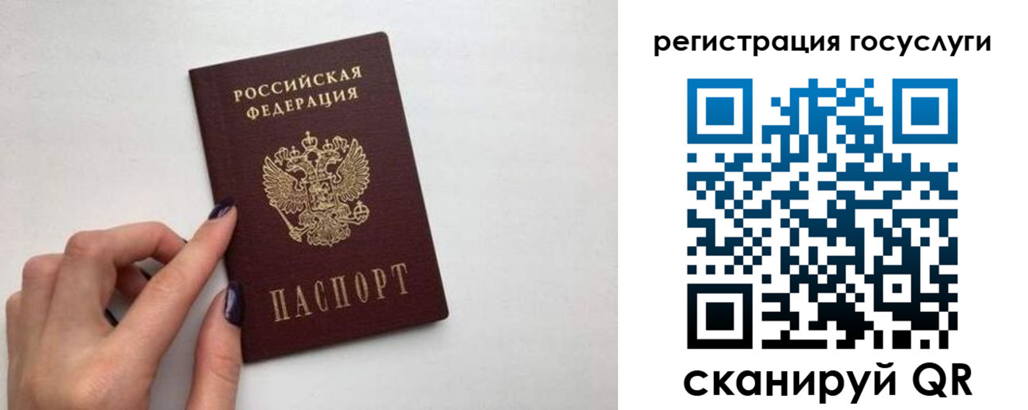 временная регистрация гарантия в Брянске